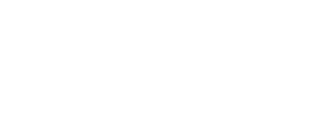 Brian Nutt Logo